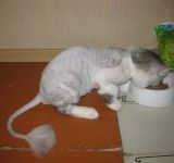 Алёна Макаркина