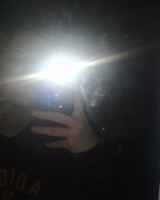 Алиса Зарипова