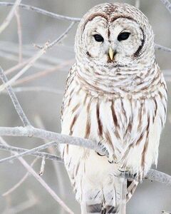 Евлампий Захар