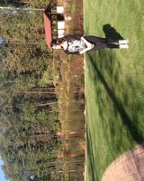 Ионкина Анна