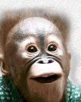 Екатерина  Гаврилова 