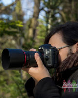 Александр Воронов