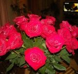 Инна Кудюкова