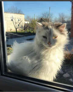 •°•In paradise happiness•°•