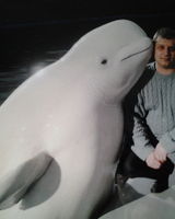 Колосков Витальевич