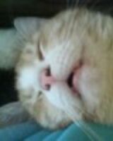 Александр Ушаков