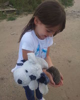 Виктория Потапова