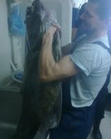 Артем Давтян