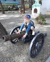 Вячеслав Новиков