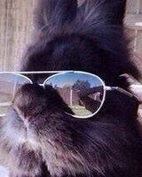 Дмитрий Северов