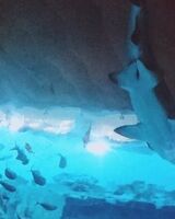 Дмитрий Марченко