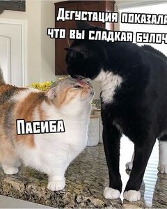 Нина Матвеева