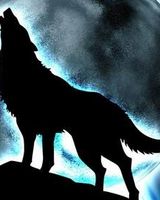 Самат Искаков