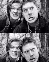 Владислава Акинфеева