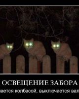 Игорь Стародубцев