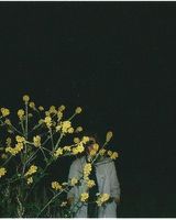 Катерина Полховская