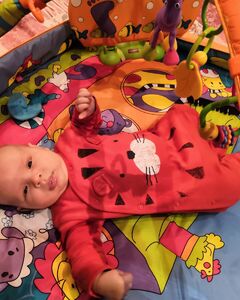 Мирон Машнов