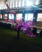 Елизавета Майская