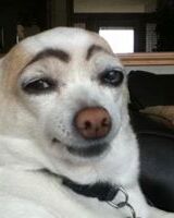 Jack Smiler