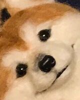 Никита Шевченко