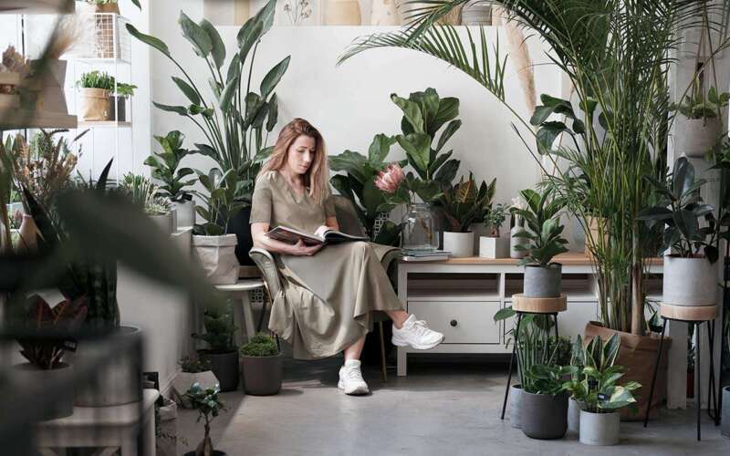 Живая декорация: почему комнатные растения становятся незаменимым инструментом на съёмочной площадке