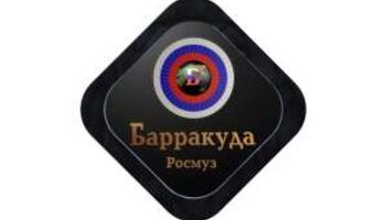 Кастинг вокалисток