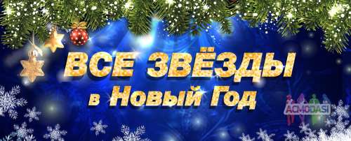 Зрители на развлекательное шоу &quot;Новогодний концерт&quot; - 31 декабря