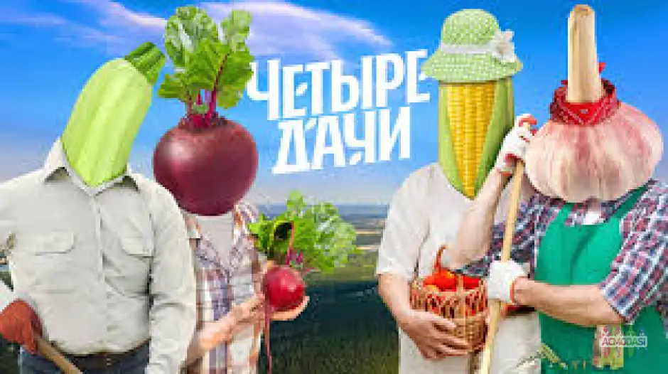 Кастинг в телепроект "4 дачи"