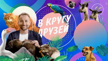 Зрители на семейное телешоу "В кругу друзей" - 22, 23 мая.