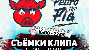 Ищем пеструю массовку для съемок клипа Pedro the Pig