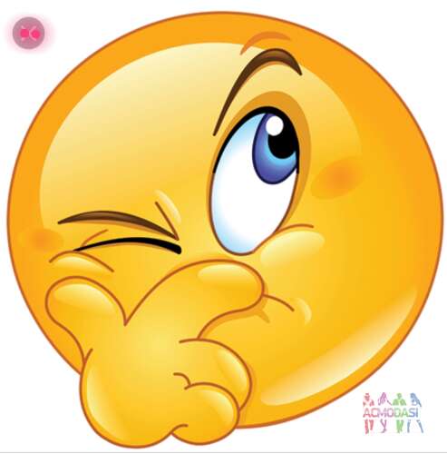 Выставка коллекции одежды от йоу флекс