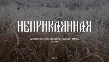 Главная мужская роль в студенческий к/м "Неприкаянная"