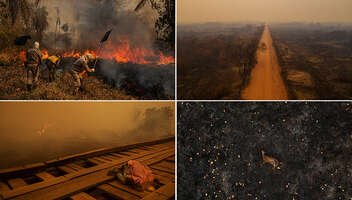 Главные роли на фестивальный проект &laquo;Дело другого&raquo;