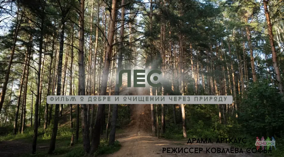 Ищем танцующих актрис(блондинок) в короткометражный фильм!