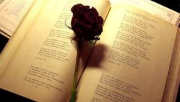 Мужчины на телепроект "Стихи для женщин"