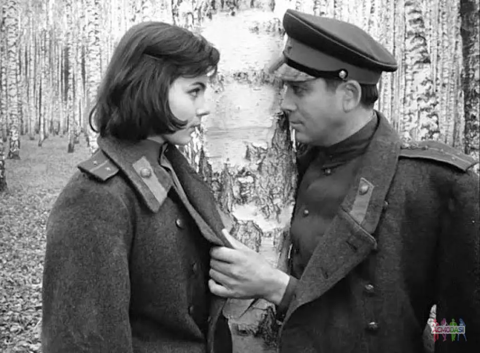 Роль в к/м &laquo;Патруль 31го декабря&raquo;