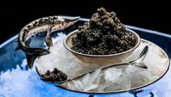 Рублевка. Дегустация.