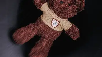 Девушка на роль самой себя