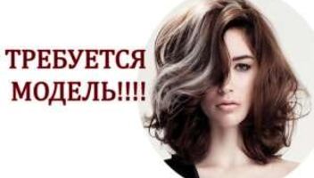 Работа моделью на коммерческих проектах