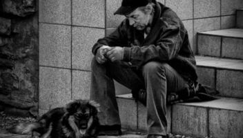 Студенческий этюд "Хорошо быть собакой"