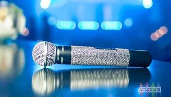 В женскую шоу-группу СРОЧНО требуется ПЕВИЦА