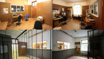 Lonely Boy вирусный ролик