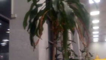 Бизнес Молодёжь 