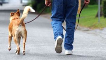 Студенческий этюд. "Мужчина и собака"