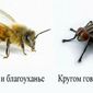 Зловещие времена