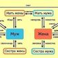 Чем профессионал отличается от дилетанта