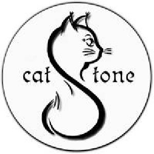 Школа-студия Catstone