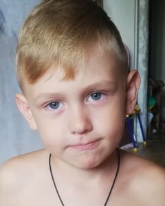 Дмитрий Коровин Стыд