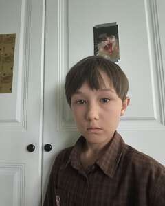 David  Стыд