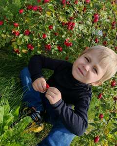 Добрыня Актёр Кино, Модель Скепсис